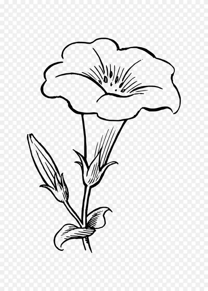 花画黑白剪贴画-花