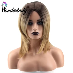 WonderLady Ombre Wig Middle Part 14