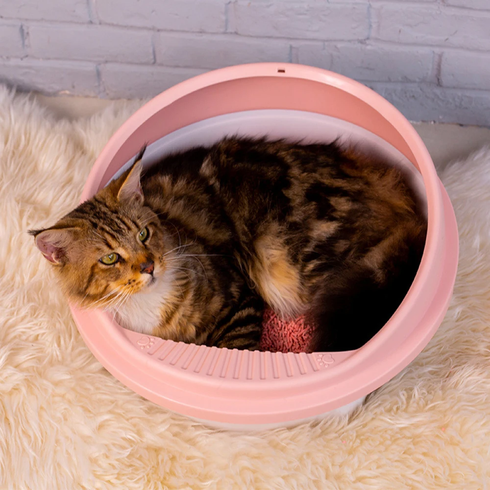 Pet Toilet Bedpan Anti Splash Cats Litter Box Cat Dog Tray With Scoop Kitten Dog Clean Toilet Home Plastic Sand Box Supplies Pet Toilet Bedpan Anti Splash Cats Litter Box Cat Dog Tray With Scoop Kitten Dog Clean Toilet Home Plastic Sand Box Supplies