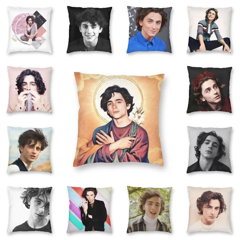 

Nordic Saint Timothee Chalamet Throw Pillow Case Home Decor Custom Square 90s TV Actor Cushion Cover 40x40 Sofa Decor Decorative