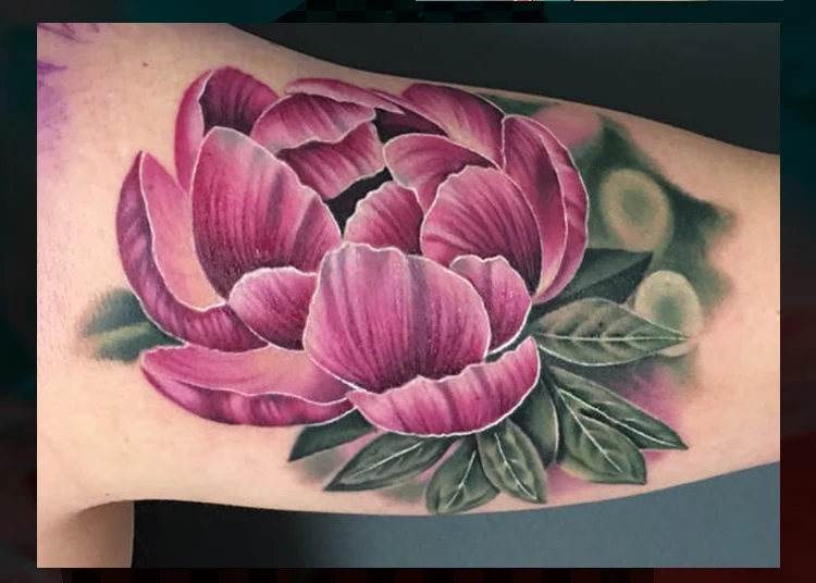 TB22EQ7bbsTMeJjSsziXXcdwXXa_!!746915751