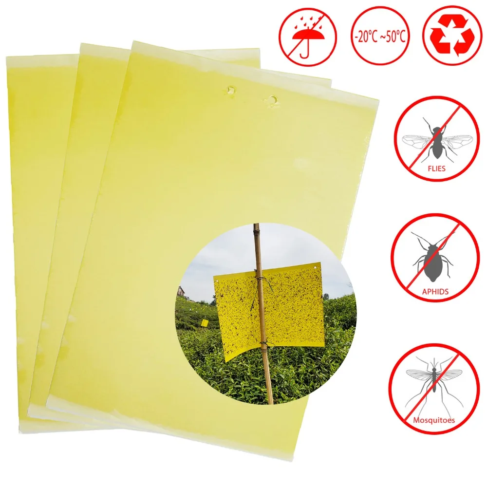 Pest Reject Glue Trap Fly Killer Catcher Anti Moustique Afidi Mosche Bianche Zanzare Trappola Per Mosche Di Frutta Per Ristorante Di Piante All'Aperto