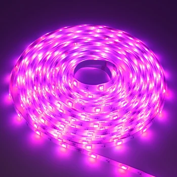 

RGB LED Strip Lights 10M 600leds 24V Tape Diode Flexible Ribbon led light strip SMD5050RGB with 44 Key Controller adapter