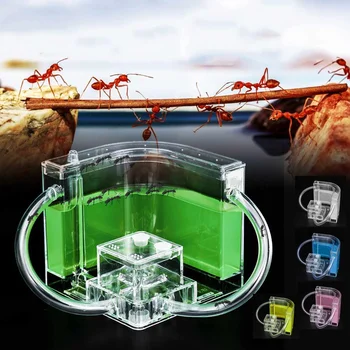 

Ant Farm Ant House Transparent Insects Feeding Box Ant Villa Workshop Home Castle Children Educational Science Toys