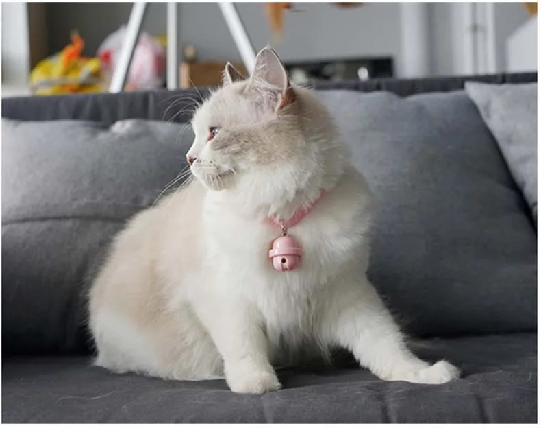 O1CN01kCCkDI24Nd8YQRGC9_!!704407379