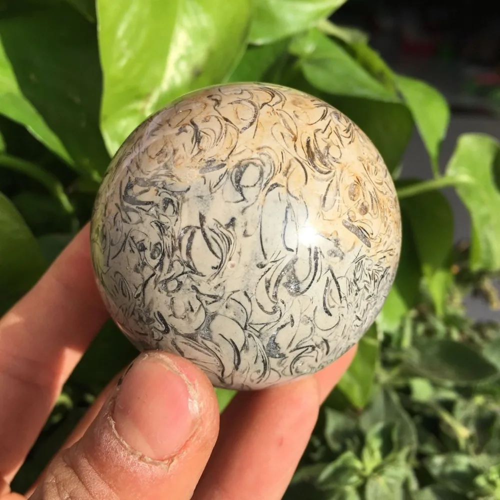 QQ图片20191231225602