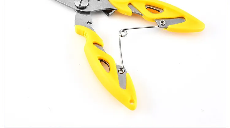 9298260818_484890978