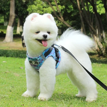 

Fastion Pet Dog Harness Vest Leash for Pets Dogs Adjustable Jacket for Puppy Small Medium Large Clothes Accessories Supplies