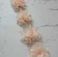 Light shrimp pink