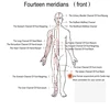 Electro Acupuncture Stimulator Machine Nerve and muscle Electroacupuncture therapy 6waveforms 6 Output EMS Massager 6