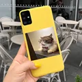 Case-c33