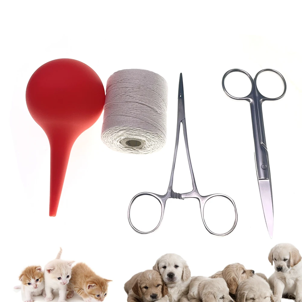 Do You Have To Tie The Umbilical Cord On Puppies