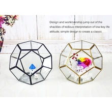 DIY Домашний офис Свадебные украшения дисплей коробка нерегулярные стеклянные геометрические суккулент ваза стеклянный контейнер