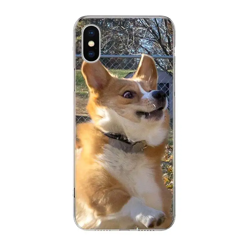 Cute lovely Corgi dogs animal Phone Case Cover For iPhone 13 11 Pro 12 Mini 7 8 6 6S Plus + XR X XS MAX SE 5 5S Art Customized