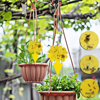 

Flower Shape Pest Control Sticky Card Field Yellow Glue Trap Lure Aphid Whitefly Thrip House Fly Fruit Fly Gnat
