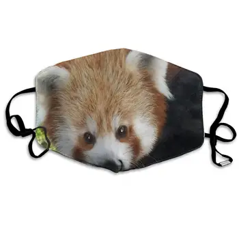 

Face Mask Fort Wayne Children's Zoo Inspiring Cycling Half Face Earloop Ski Mask for Boys
