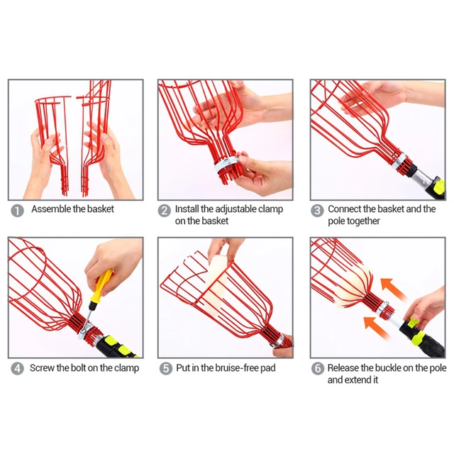 Gyümölcsválasztó-Gyümölcs Szedő Szerszám Avokádó És Más Gyümölcskermelő-Multipponos Mellékletek Szedéséhez. - Image 5