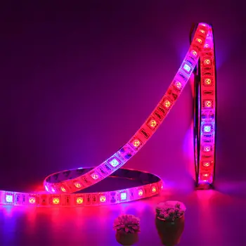 

LED Plant Flower Grow Light Red Blue 4:1 Lamp Strip IP20 Waterproof 12V