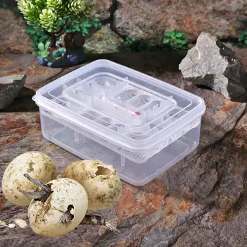 

12 Grids Plastic Reptiles Egg Incubator Tray Lizard Snake Eggs Hatcher Box Case Necessary Household Pet Hatching Supplies