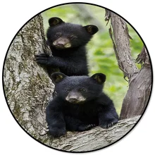 Круглый ковер с изображением маленького черного медведя, дерева животных, ковры для декора гостиной, коврики для детской комнаты, коврики для спальни, современные коврики