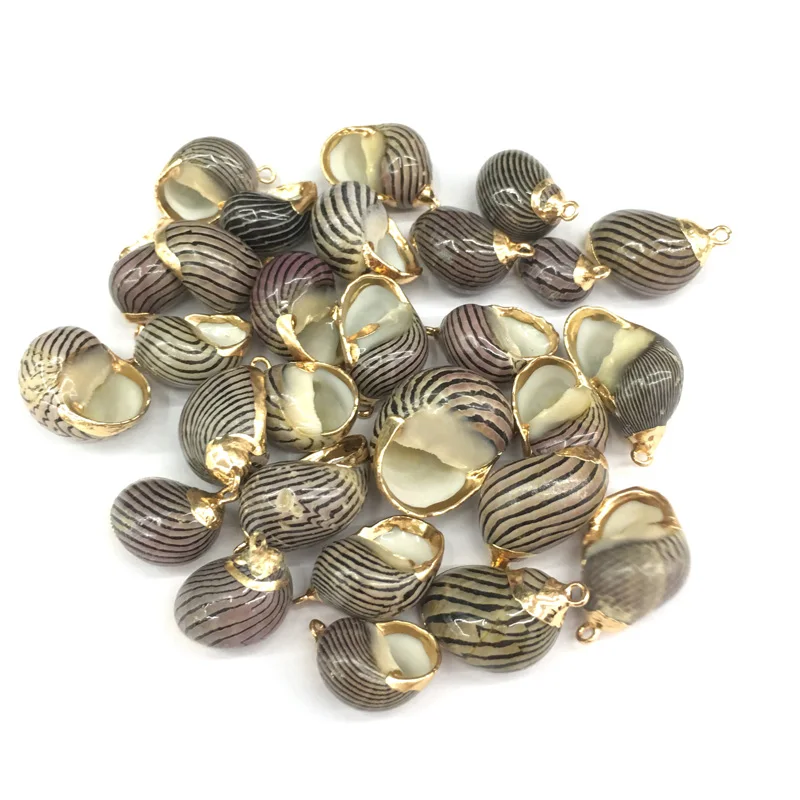 

Natural Shell Conch Shape Pendants Charms Necklace Pendant for Jewelry Making DIY Bracelet Necklaces Accessories Size 16x25mm