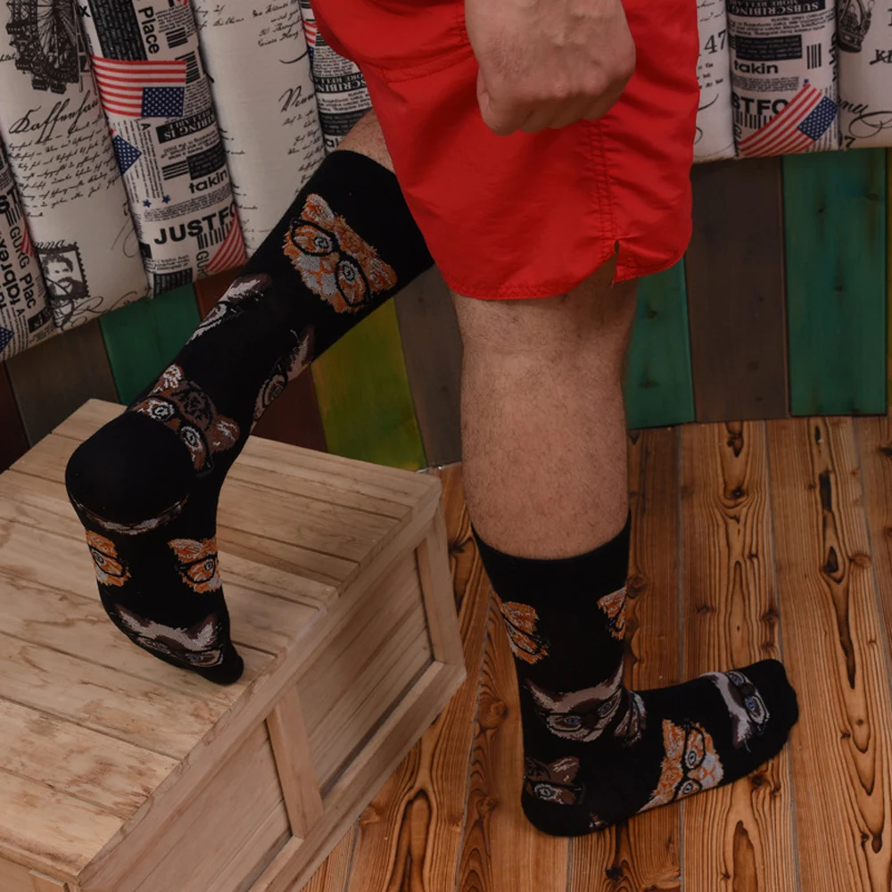 Модные мужские носки из чесаного хлопка уличная новинка собака тигр петух Ленивцы рыбьи полосы красочные новые скейтборд носки