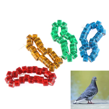 

20Pcs Multicolor Pigeon Foot Ring With Word Earrings Quality Durable Bird Ring Racing Pigeon Foot Ring Bird Tools 12mm