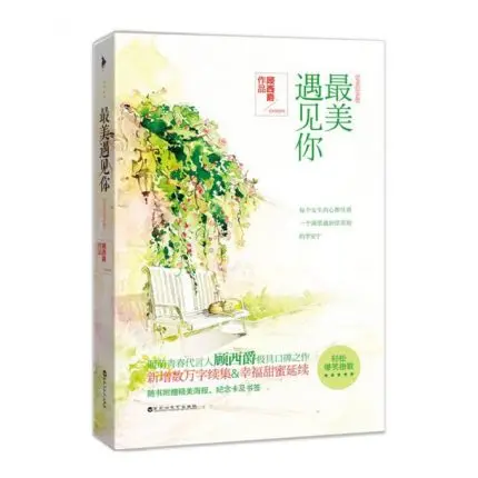 

Meeting You in My Beautiful Years (Chinese Edition)