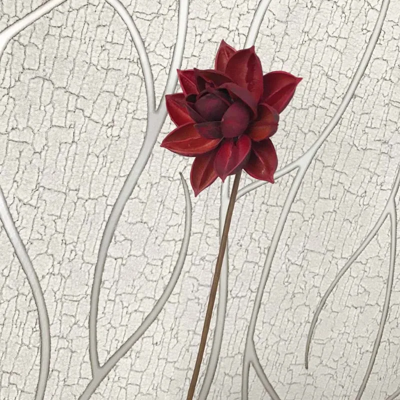 QQ图片20190821111227