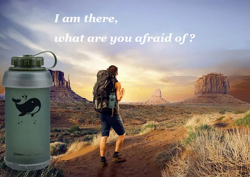 011b165bb4490ca8012099c85b8702