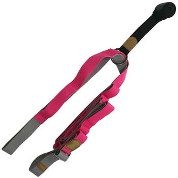 

Adjustable Leg Stretcher on The Door Flexibility Ballet Stretch Band for Ballet/Dance Fitness