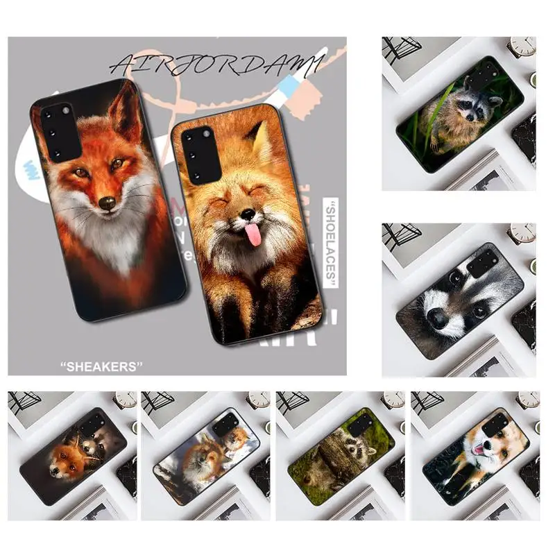Чехол для телефона PENGHUWAN из ТПУ с рисунком животного енота лисы чехол Samsung S20 plus Ultra