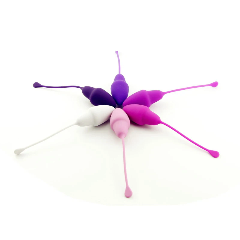 Medical Silicone Kegel Weighted Exercise Balls 6 Pcs Pelvic Vagina Tightening Ben Wa Balls Set for Women