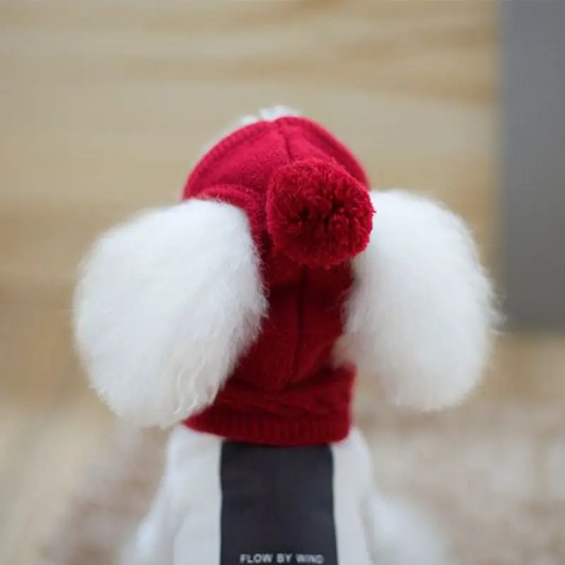 Корейский стиль собака шляпа шарф набор шерсть украшение теплая одежда зимние принадлежности