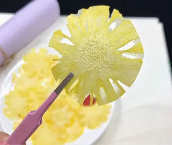 

10pcs Dried Pressed Exopy Pineapple Slices Plant Herbarium For Jewelry Photo Frame Phone Case Craft DIY Making Accessories