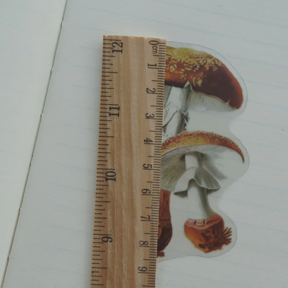 Decorative Stickers Decorative Labels Stickers DIY Scrapbooking Accessories 38pcs Colorful Natural Wild Mushroom Style Transparent Sticker Scrapbooking DIY Gift Packing Label Gift Decoration Tag
