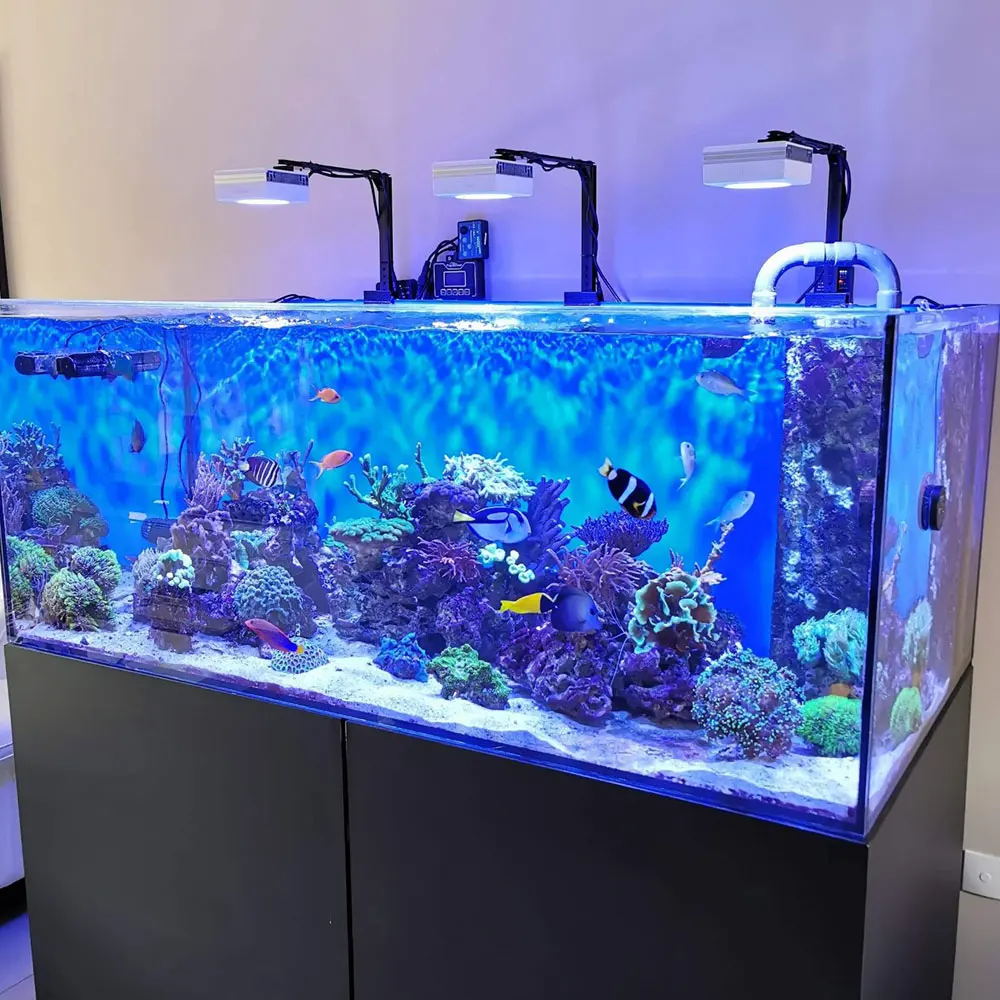 Éclairage LED pour aquarium d'eau douce PopBloom, lampe de