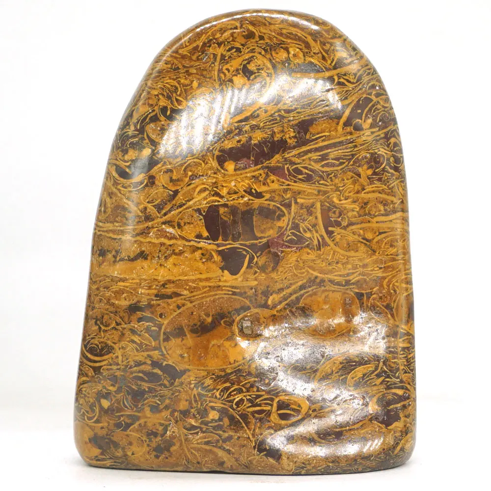 490g Fossil Elephant Skin Jasper Palm Stone Crystal Mineral Specimen Rock Decor