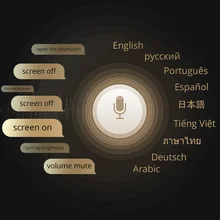 Оптическая Встроенная функция голосового управления для Ownice K6 Plus K7 не продается отдельно Оптическая Встроенная функция голосового управления для Ownice K6 Plus K7 не продается отдельно
