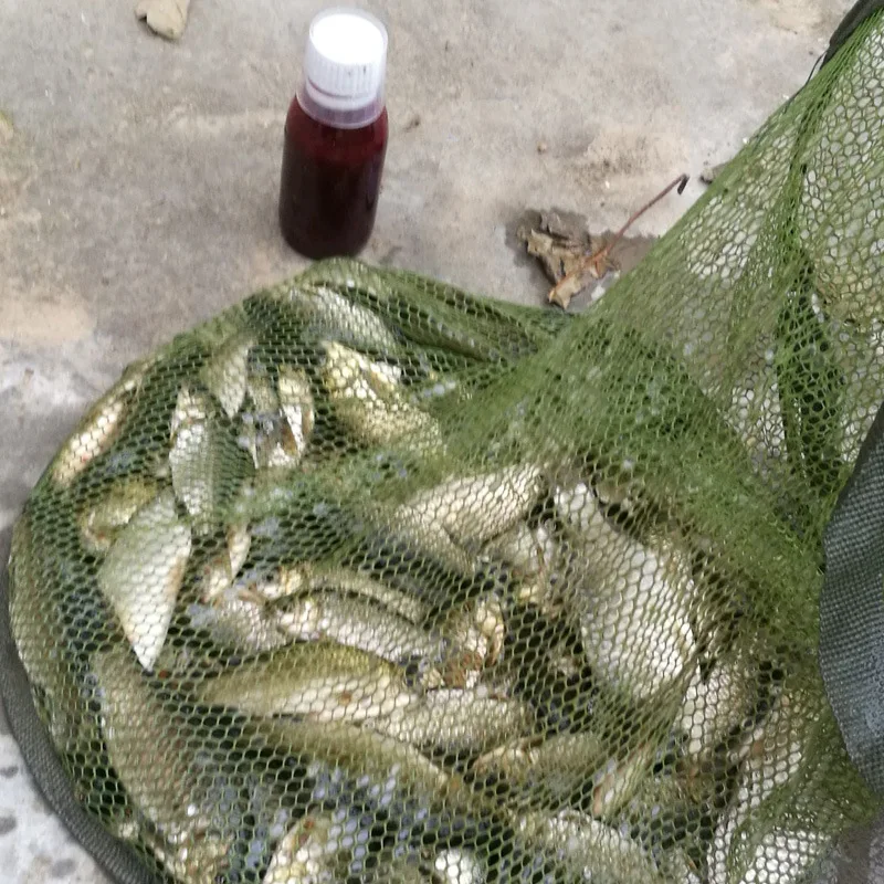 

Carp Crazy Explosion Fishing Small Carp Fishing Bait Additive Black Pit Bait Crucian Greenhouse Small Yue Fishing Gear Supplies