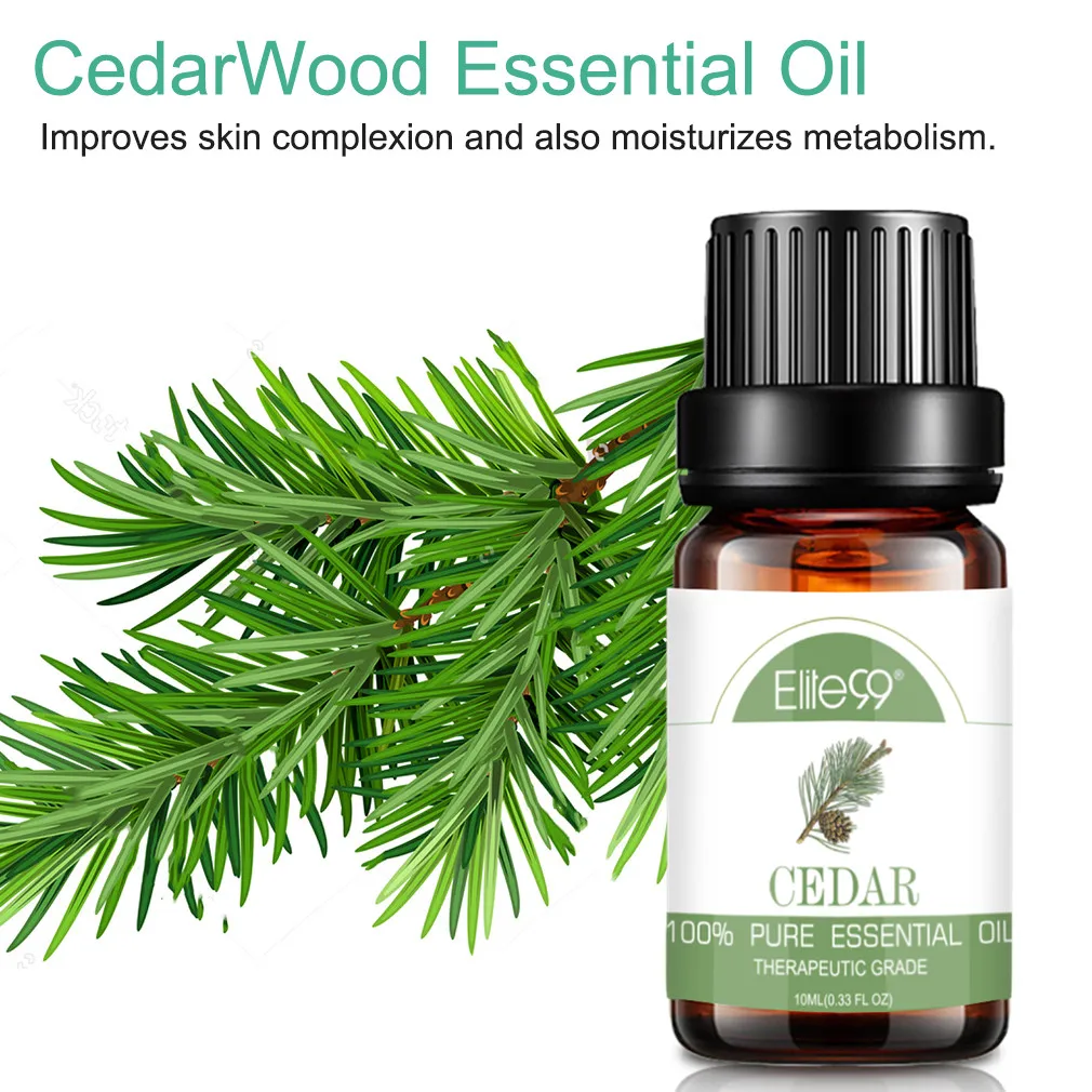 雪松.jpg_.webp 雪松.jpg_.webp