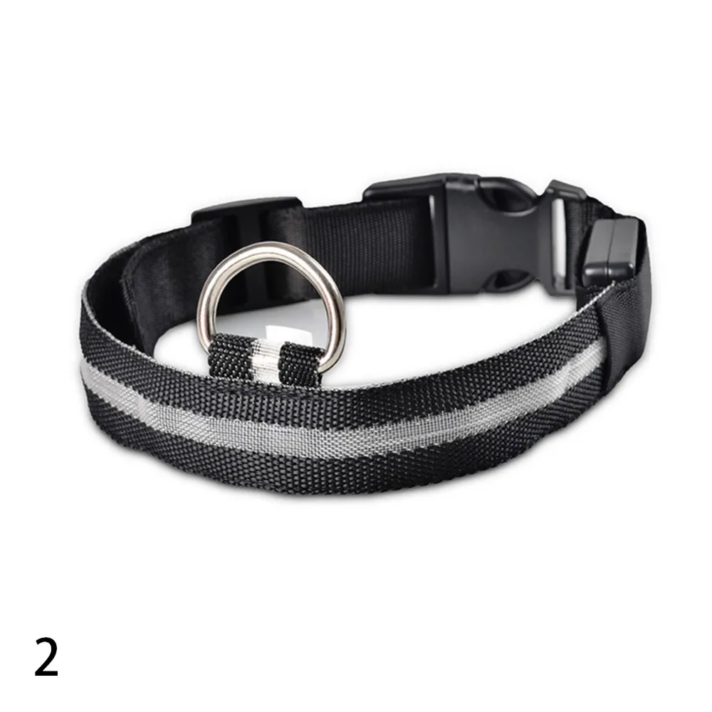 306038_no-logo_306038-2-02-g