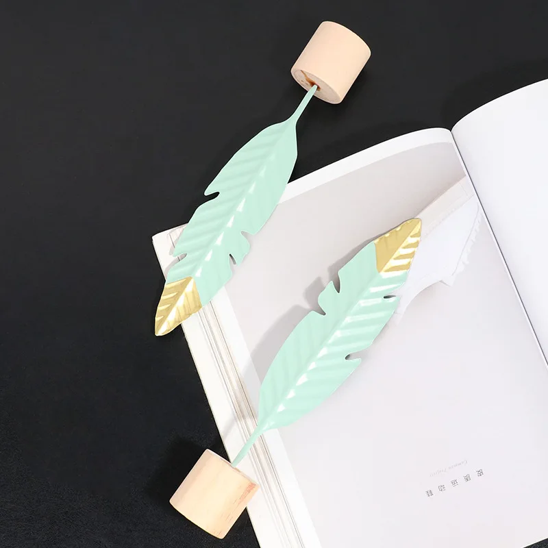 13528858704_488894358