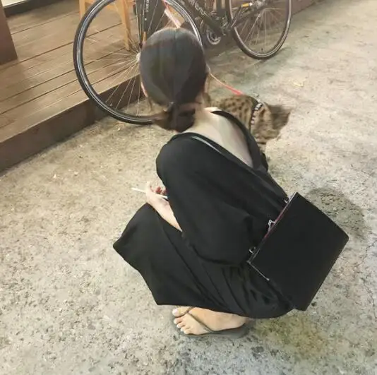QQ截图20190728125434
