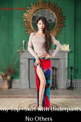 Top Skirt as Photo Одежда для танца живота, облегающая, женская, осенняя, новая, 3 цвета, топ, модал, длинная юбка, восточный индийский танец, группа, тренировка, одежда - Цвет: Top Skirt as Photo