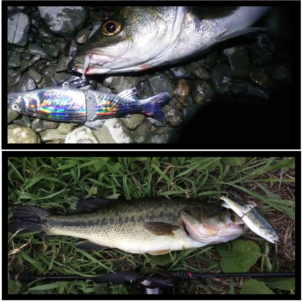 Rainbow Trout Lures For Ponds corona.dothome.co.kr
