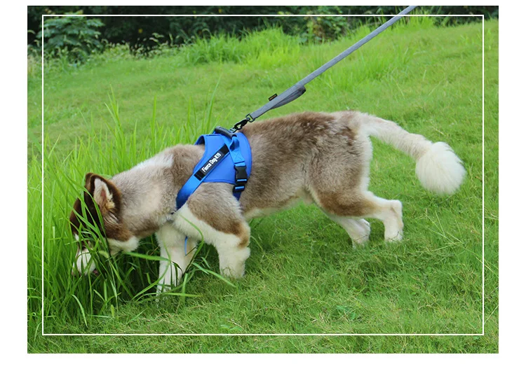 14466827360_1937179884