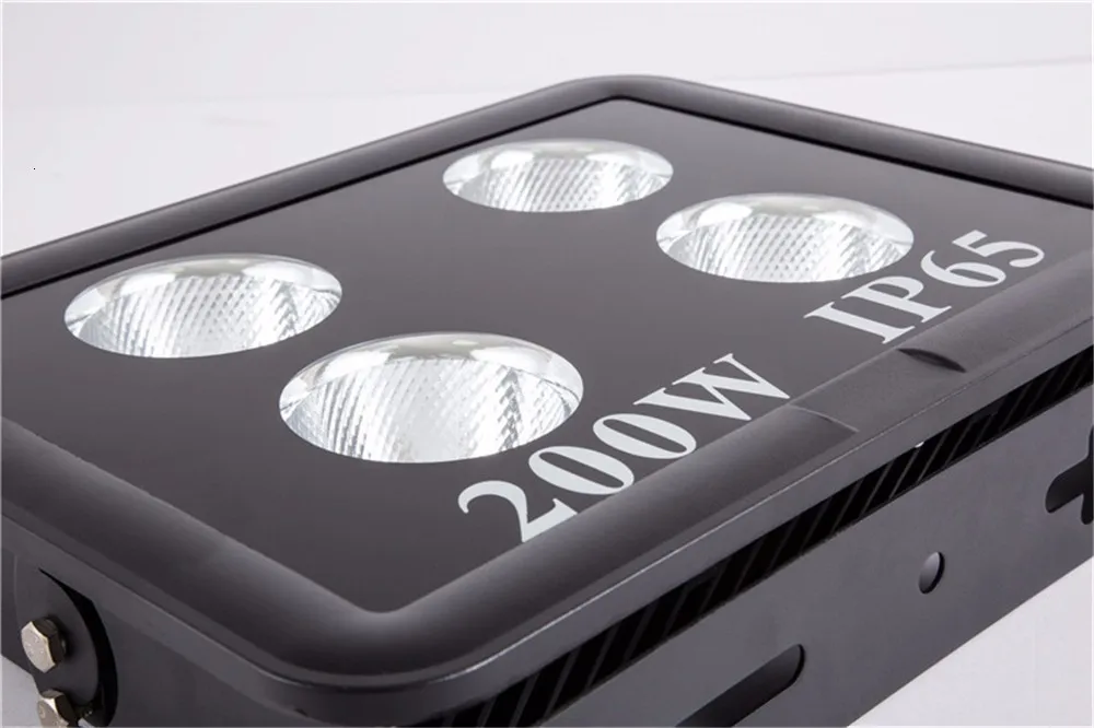 Full Spectrum LED Grow Light Waterproof IP67 200W AC220V 110V COB Growth Flood Light for Plant Indoor Hydroponic Greenhouse