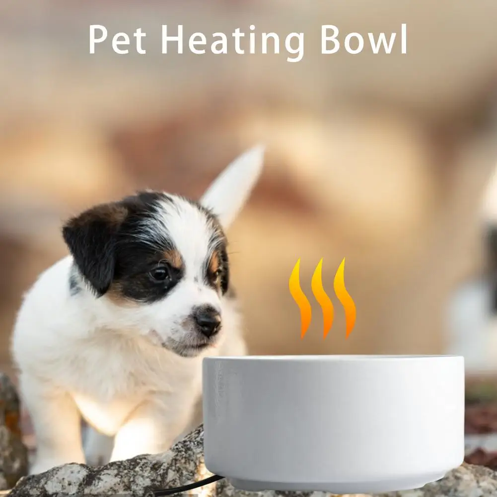 

2020 New Heat Pet Bowl Automatic Dog Water Dispenser for Cats