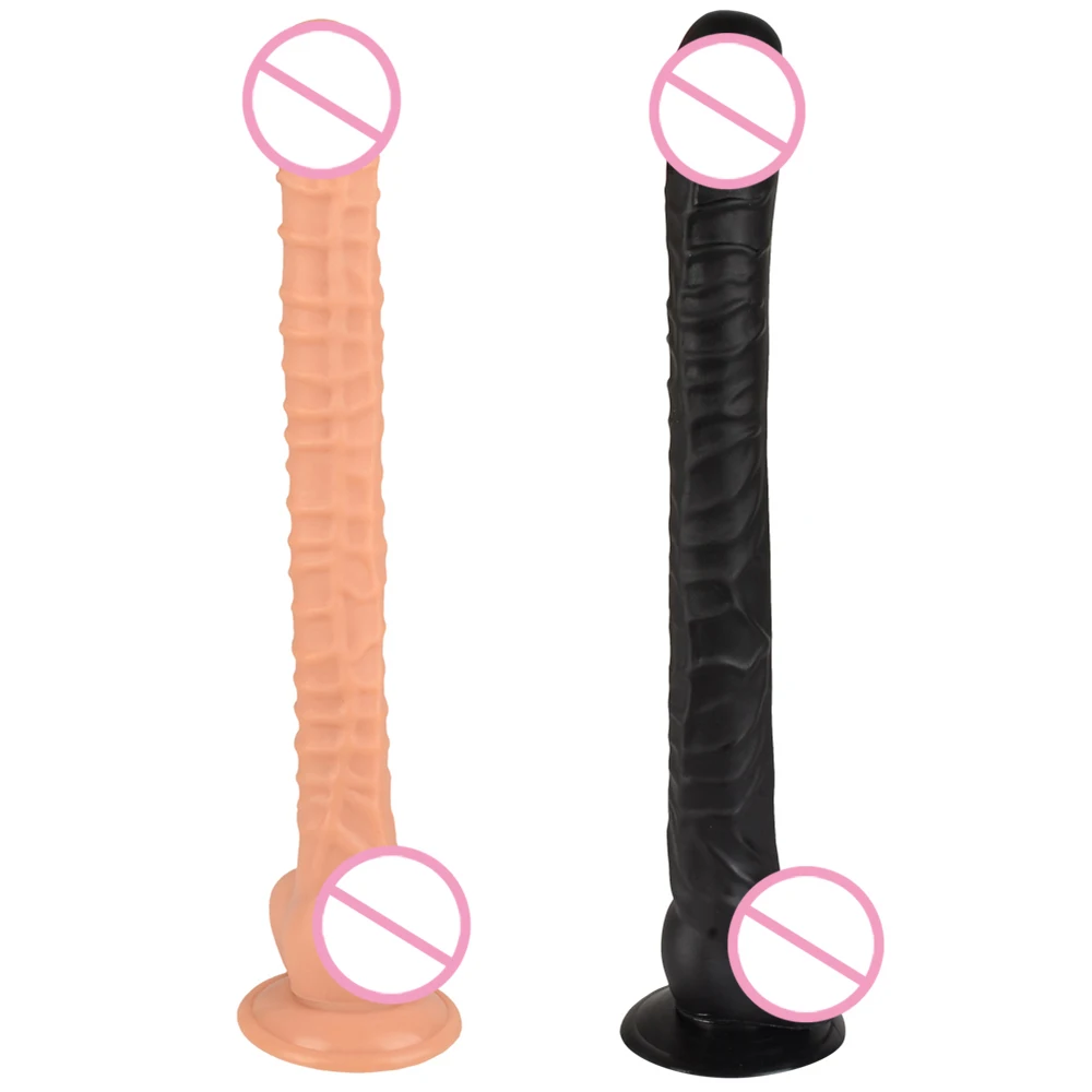 e9d23b7f-d00d-42c0-9ef4-0f86d5f44a85